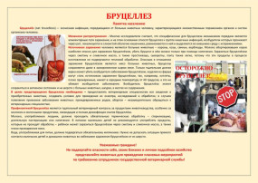 Бруцеллез Бруцеллез.