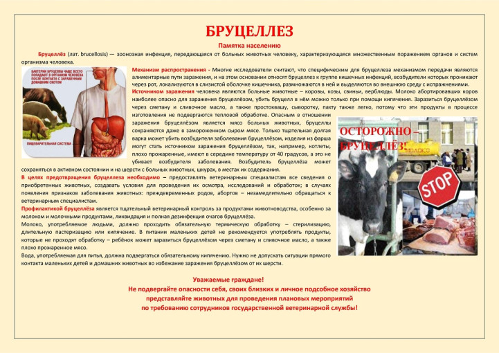 Бруцеллез Бруцеллез.